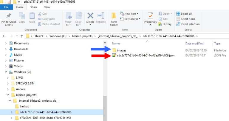 Contents of a bibisco project folder